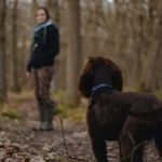 TEIL 2: Mein Hund interessiert sich nicht für mich während des Spaziergangs! 4-Punkte-Programm für mehr Aufmerksamkeit