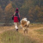 Typische Probleme mit Welpen: Hilfe, mein Hund jagt Kindern hinterher!