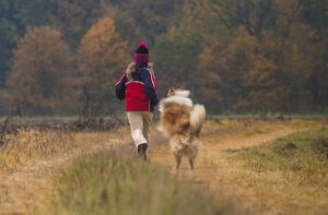 Read more about the article Typische Probleme mit Welpen: Hilfe, mein Hund jagt Kindern hinterher!
