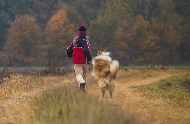 Read more about the article Typische Probleme mit Welpen: Hilfe, mein Hund jagt Kindern hinterher!