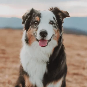 alyssa-graham-kd0U9ohhpAs-unsplash alyssa-graham-kd0U9ohhpAs-unsplash