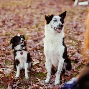 kendall-lane-ibOi000CaaI-unsplash(1) kendall-lane-ibOi000CaaI-unsplash(1)